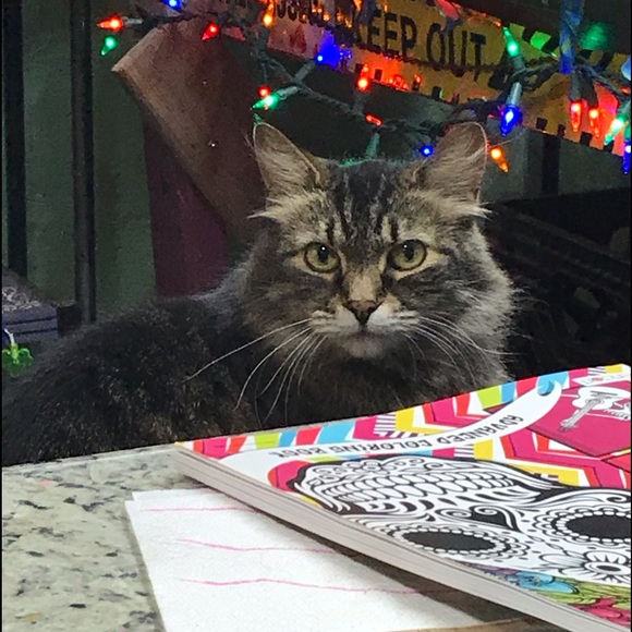 Meet your Posher, Tracy - Picture 9 of 12